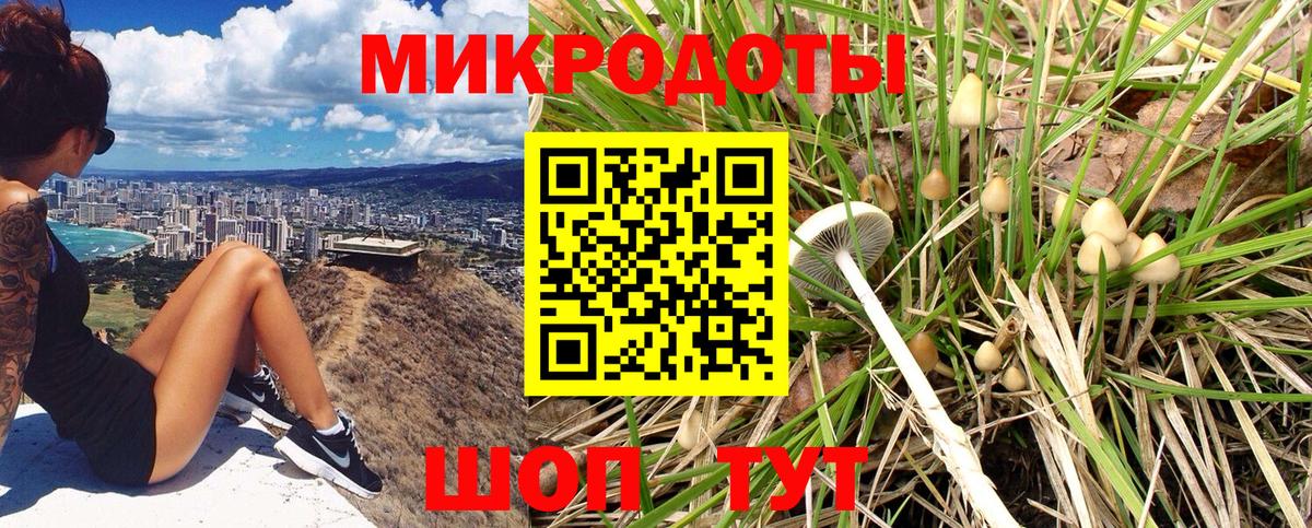Мытищи  где купить наркоту  Вход с VPN  Псилоцибиновые грибы Psilocybe 
