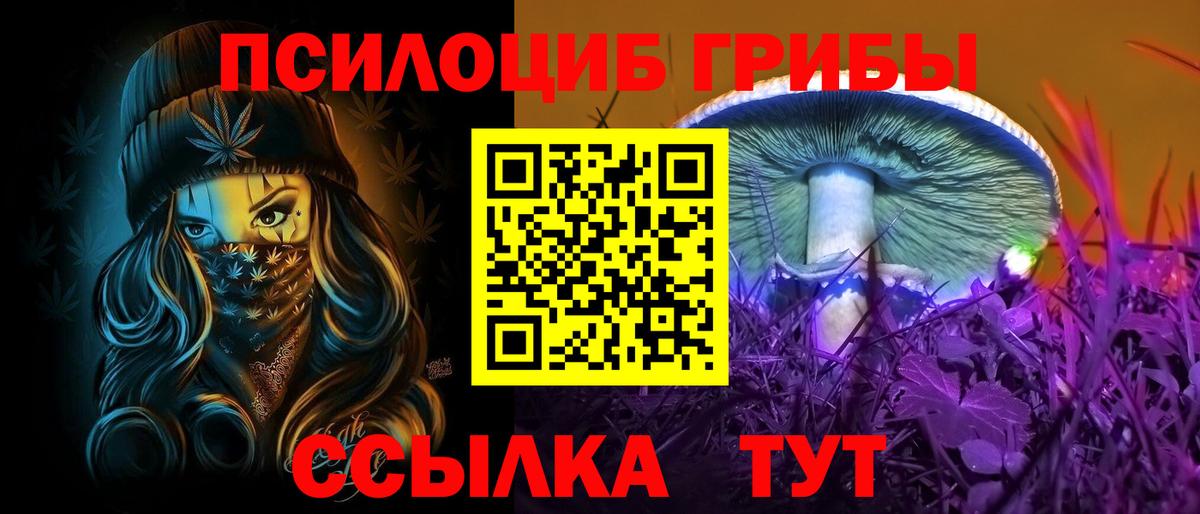 Псилоцибиновые грибы ЛСД Мытищи